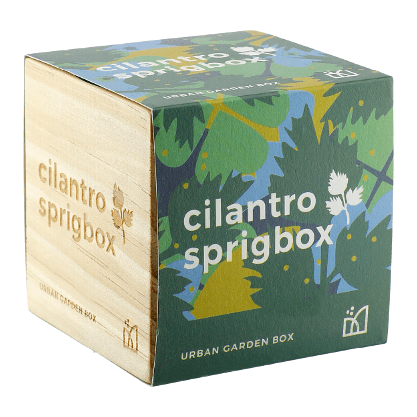 Sprigbox Cilantro Grow Kit Product Image