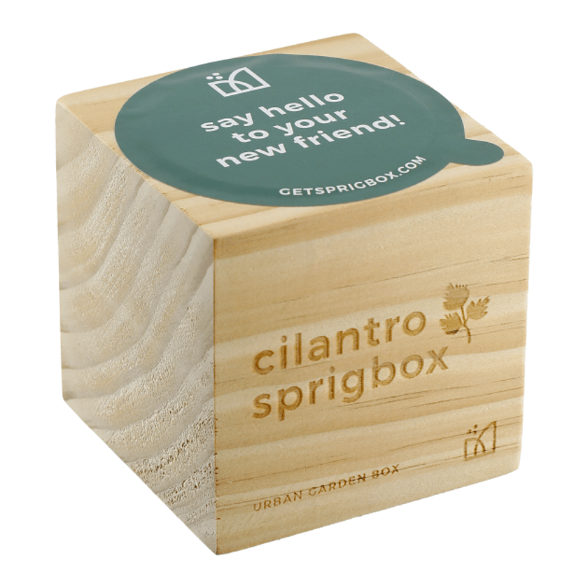 Sprigbox Cilantro Grow Kit Product Image