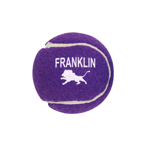 Professional Tennis Ball Product Image