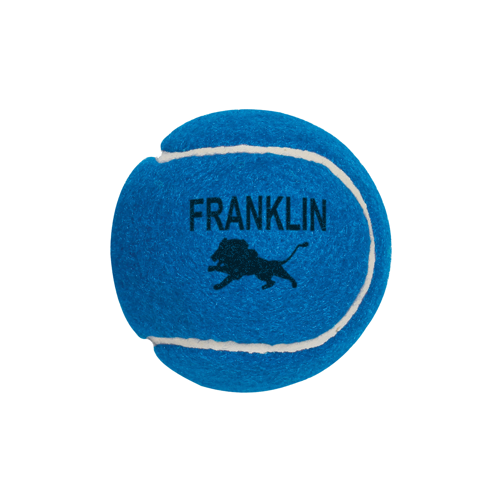 Professional Tennis Ball Product Image