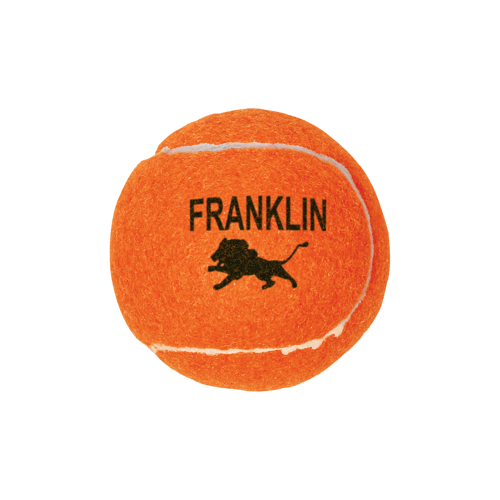 Professional Tennis Ball Product Image