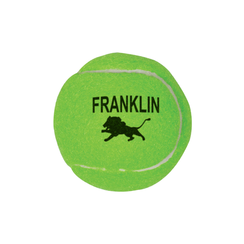 Professional Tennis Ball Product Image