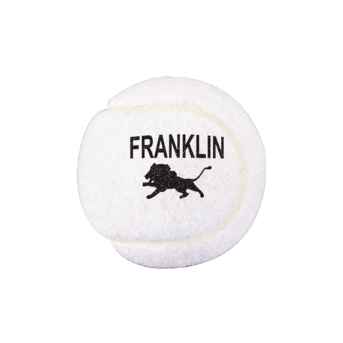 Professional Tennis Ball Product Image